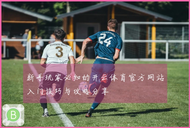 新手玩家必知的开云体育官方网站入门技巧与攻略分享